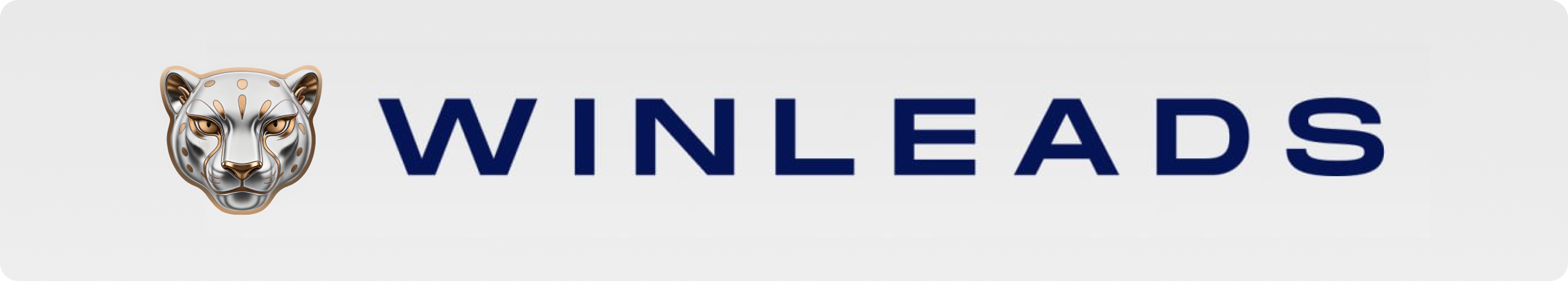 Winleads